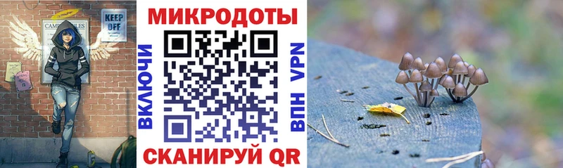наркошоп  Каргат  Псилоцибиновые грибы Psilocybine cubensis 